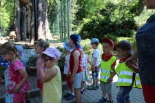 img_2559-jpg1469519149